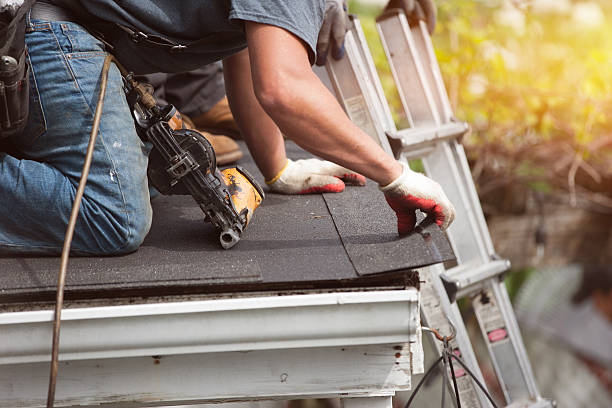 Best Roof Gutter Cleaning  in North Grosvenor Dale, CT